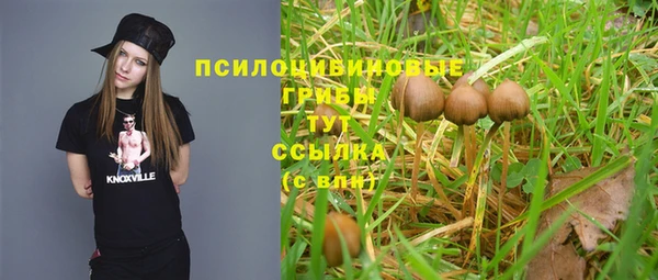 спайс Зеленодольск