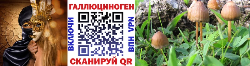 Купить где  Новоалександровск  Псилоцибиновые грибы мицелий 