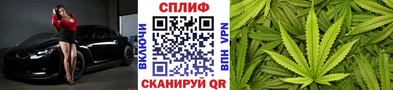 Купить  Новоалександровск  Каннабис THC 21% 